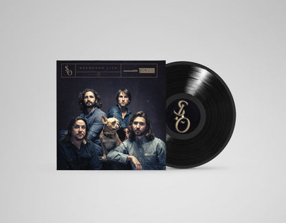 Stop Light Observations | TOOGOODOO - Vinyl