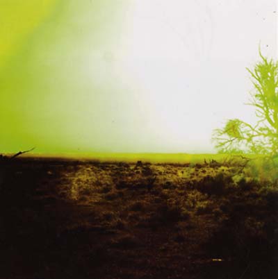 STRINGS OF CONSCIOUSNESS & ANGEL | Strings Of Consciousness & Angel - CD