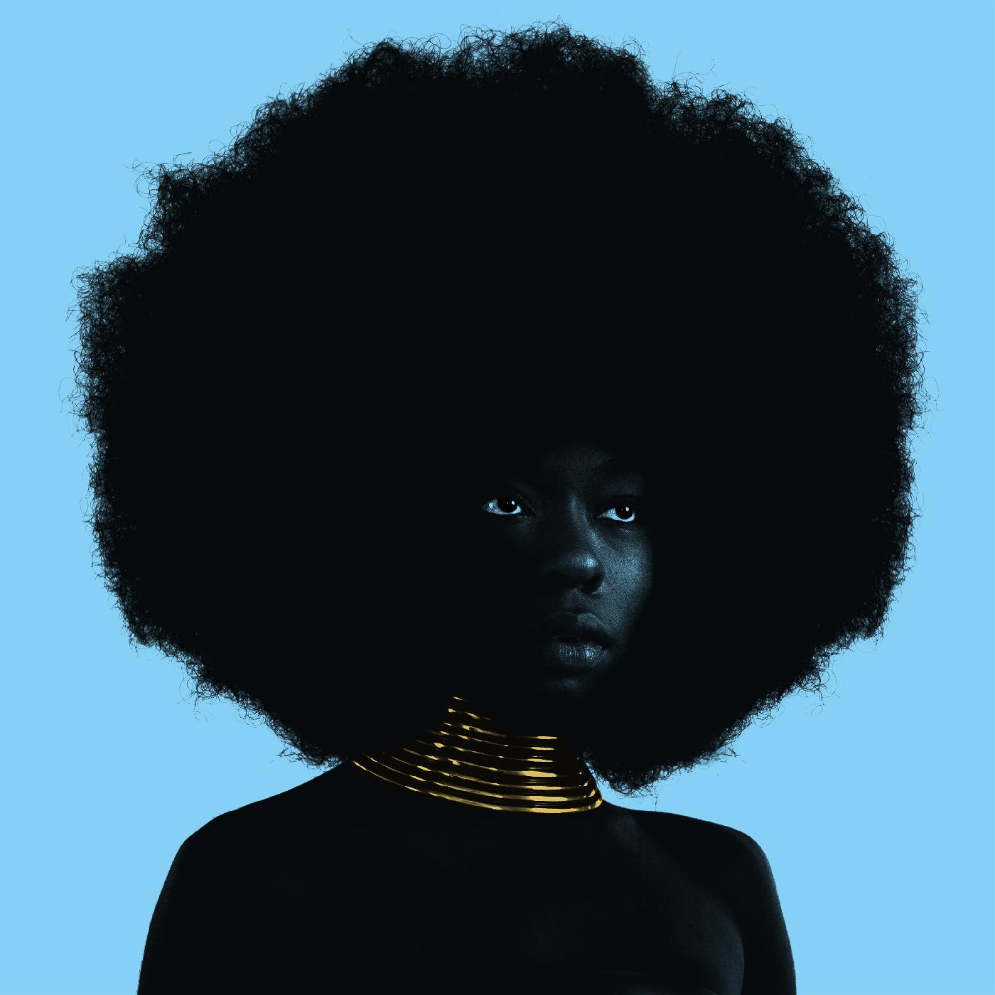Sudan Archives | Sink - Vinyl