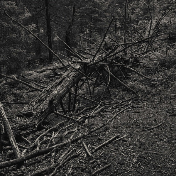 SULT | Always I Gnaw - Vinyl