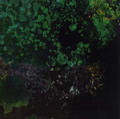 SUTEKH HEXEN WITH ANDREW LILES | Breed in Me the Darkness - CD