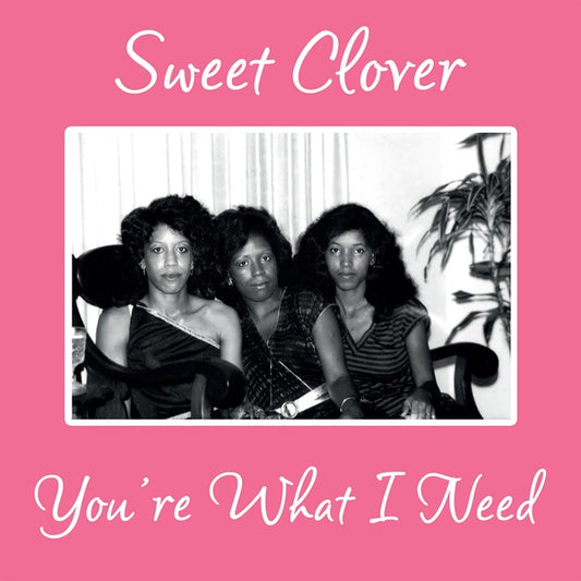 SWEET CLOVER | You're What I Need - Vinyl