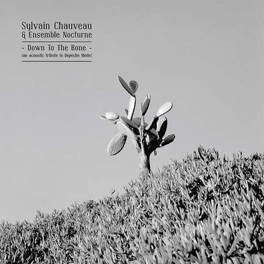 SYLVAIN CHAUVEAU & ENSEMBLE NOCTURNE | Down to the Bone (An Acoustic Tribute to Depeche Mode) - CD