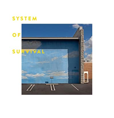 SYSTEM OF SURVIVAL | Needle and Thread - CD