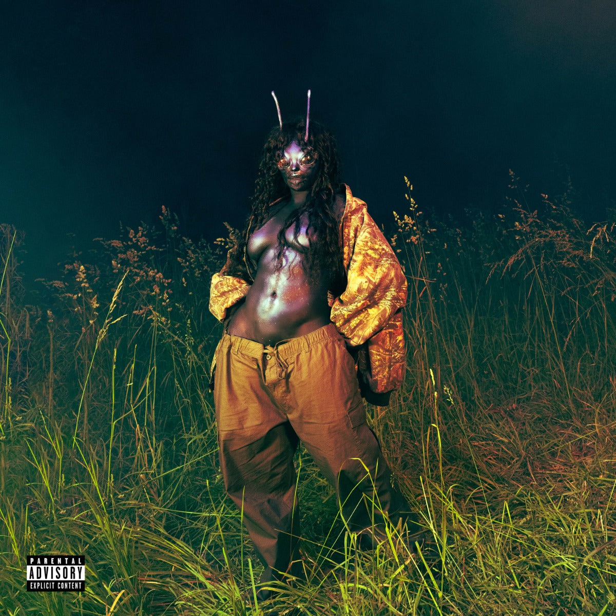 Sza | Sos Deluxe: Lana [4LP] - Vinyl