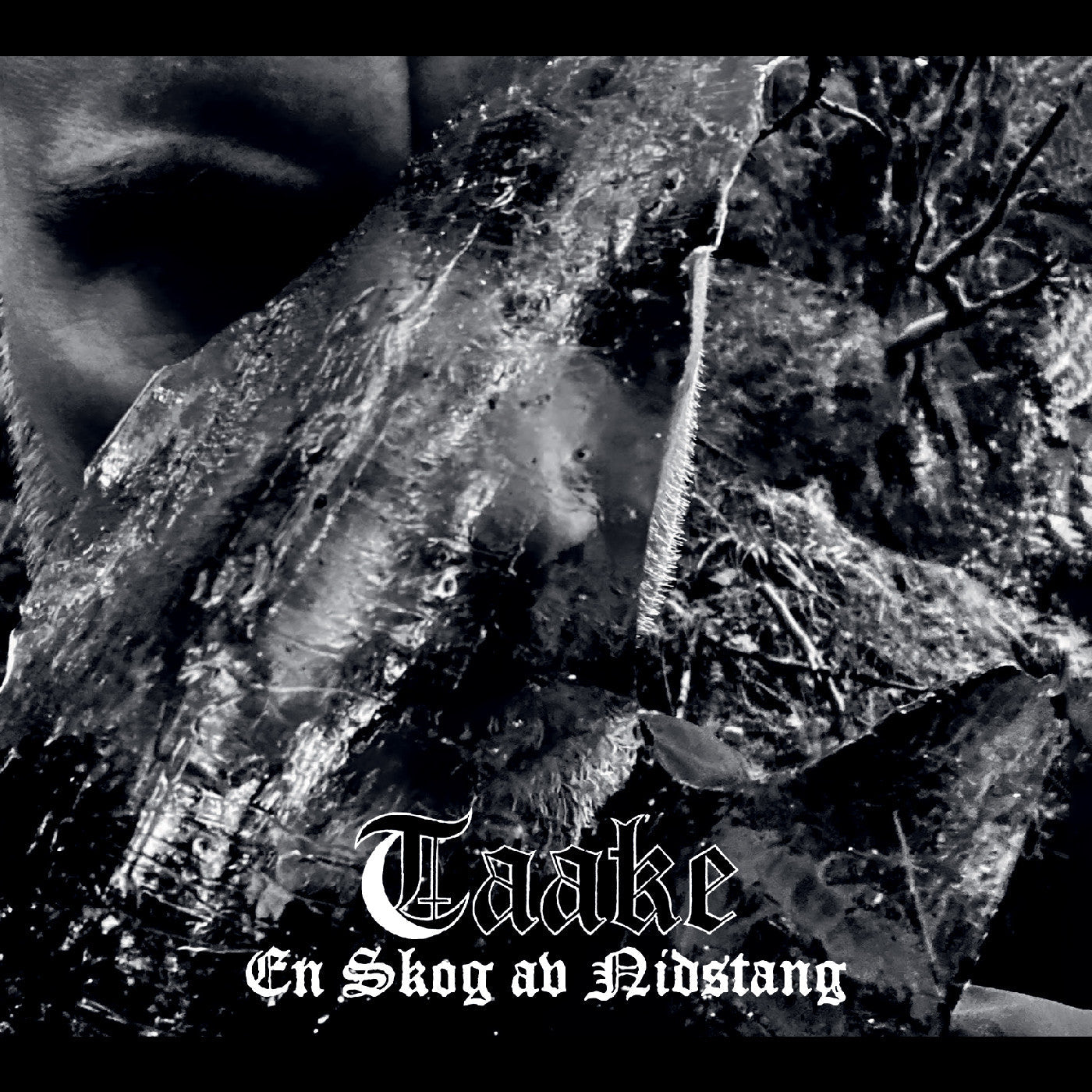 Taake | En Skog Av Nidstang - Vinyl