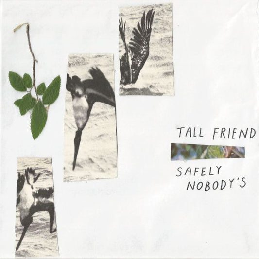 Tall Friend | Safely Nobody's - Vinyl