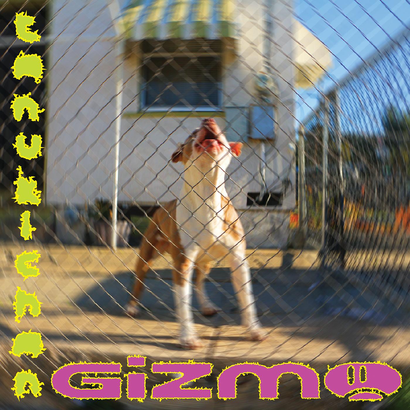 Tanukichan | GIZMO - Vinyl