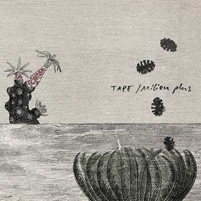 TAPE | Milieu Plus - CD