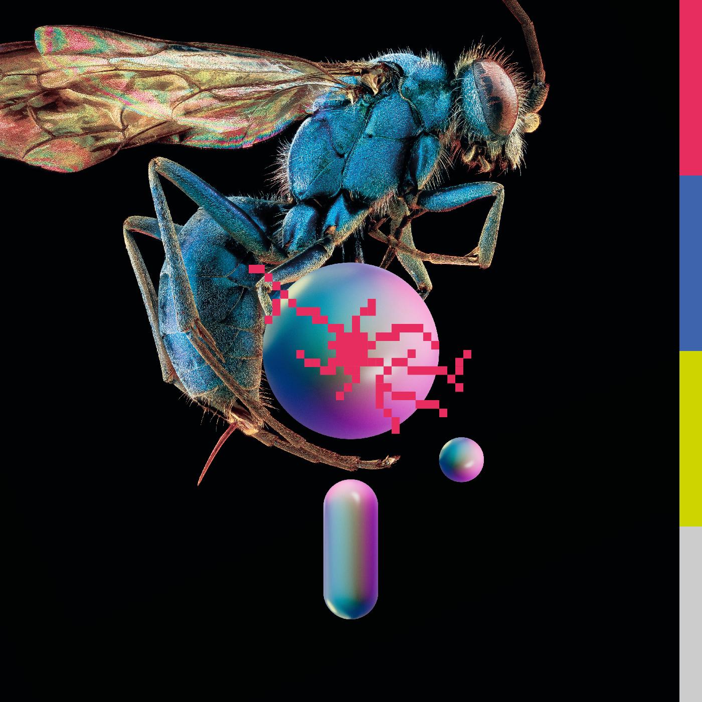 Teeth Of The Sea | Hive - CD