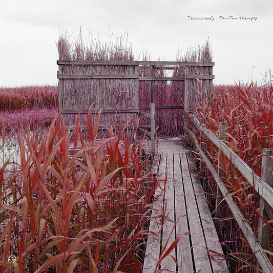TENNISCOATS | Tan-Tan Therapy - CD