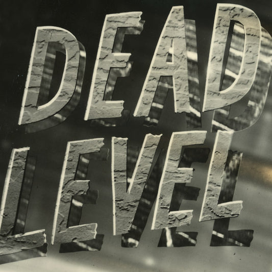 TERRI KAPSALIS & JOHN CORBETT | Dead Level - CD