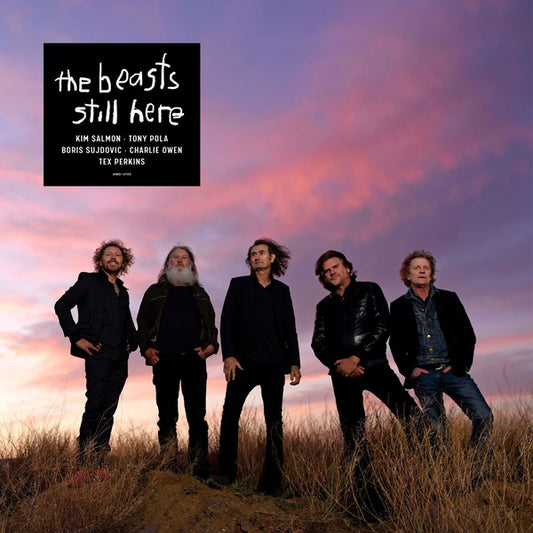THE BEASTS | Still Here - CD