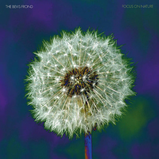 The Bevis Frond | Focus on Nature (PURPLE VINYL) - Vinyl