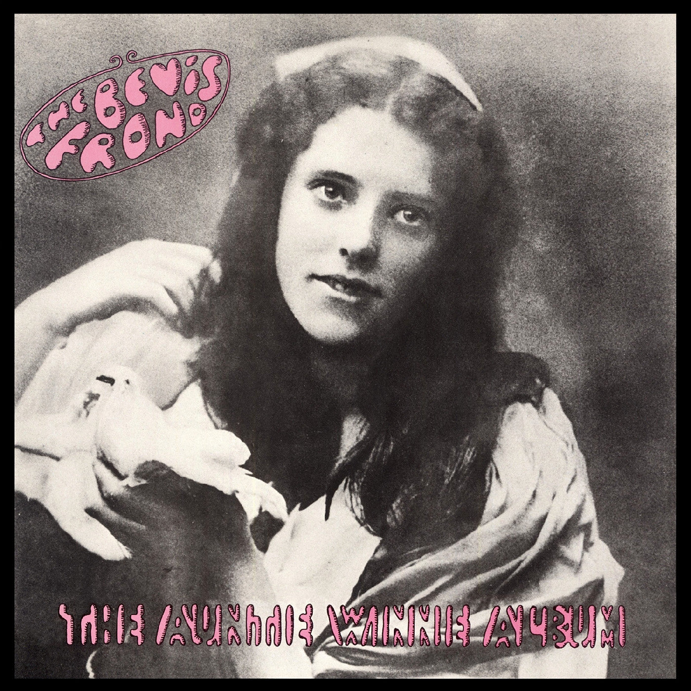The Bevis Frond | The Auntie Winnie Album - CD