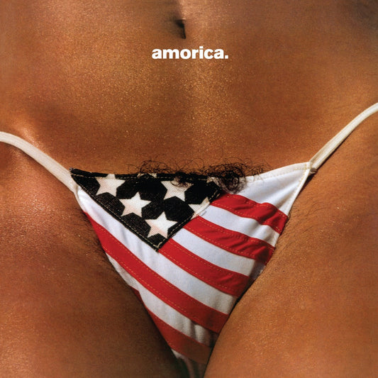 The Black Crowes | Amorica. [180G 2LP] - Vinyl