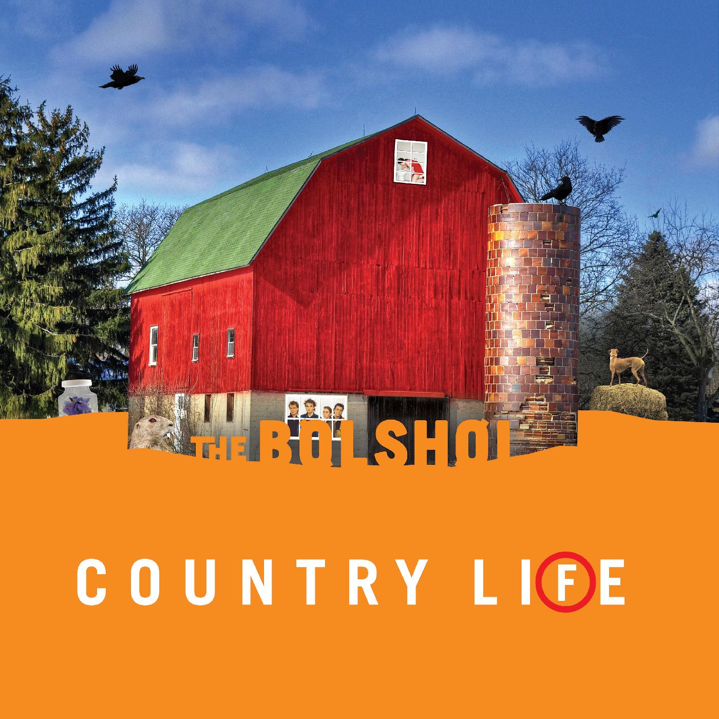 The Bolshoi | Country Life (GREEN & ORANGE VINYL) - Vinyl