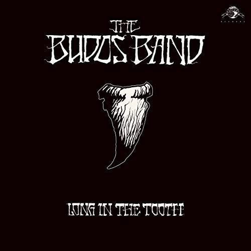 The Budos Band | Long In The Tooth (Digital Download Card) - Vinyl
