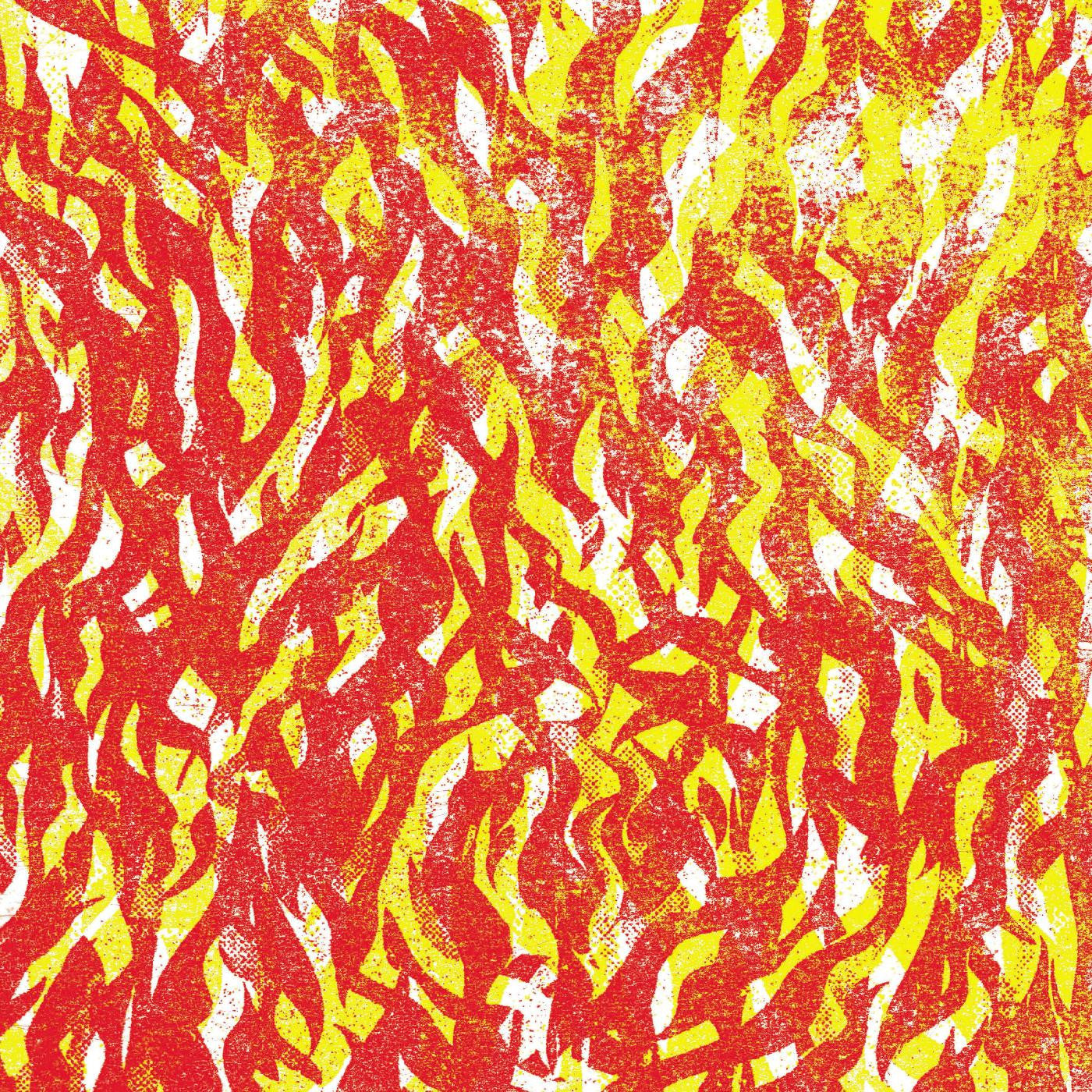 The Bug | Fire - CD