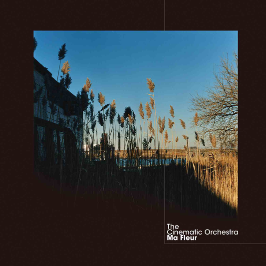 The Cinematic Orchestra | Ma Fleur - Vinyl