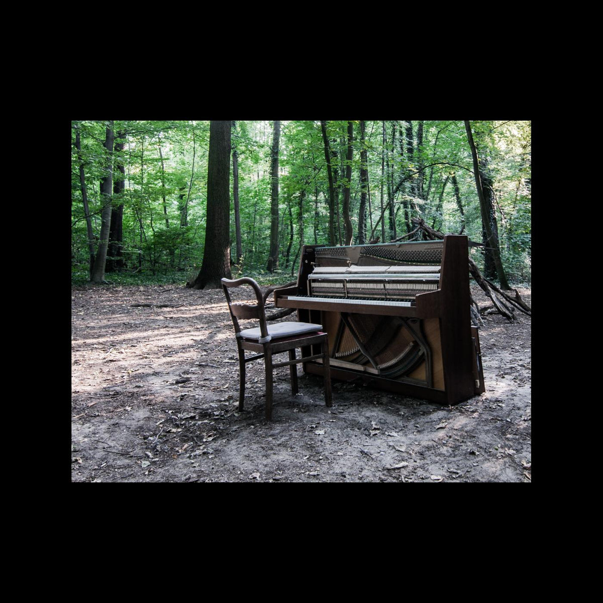 The Eye Of Time | Acoustic II - CD