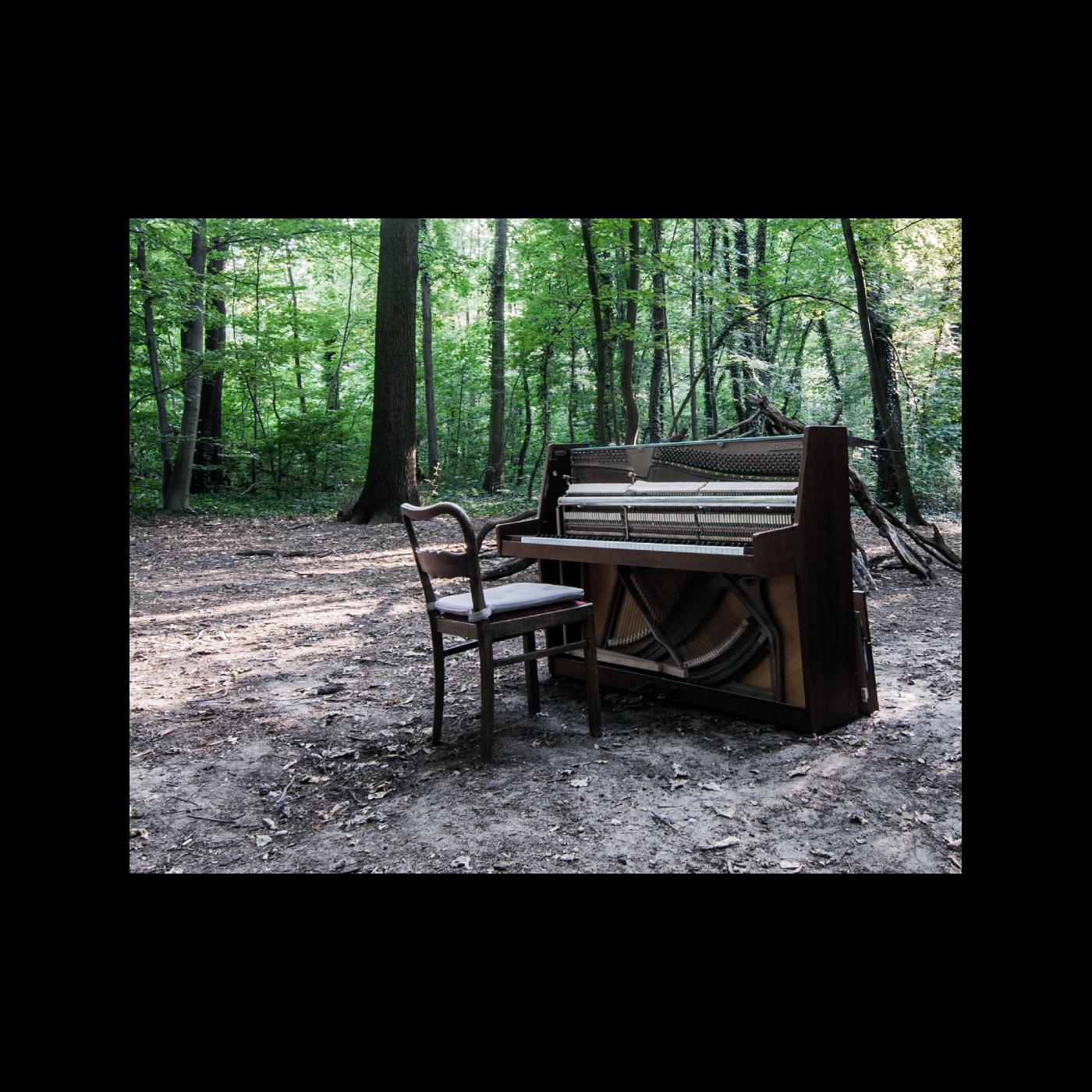 The Eye Of Time | Acoustic II - Vinyl