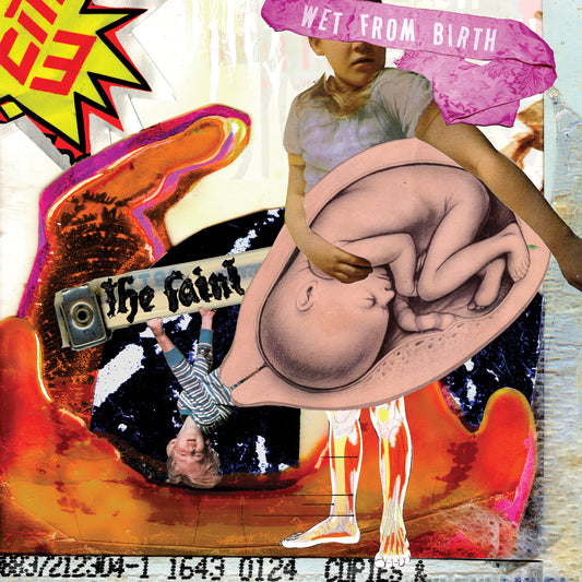 The Faint | Wet From Birth - CD