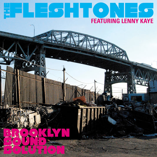 The Fleshtones | Brooklyn Sound Solution - CD