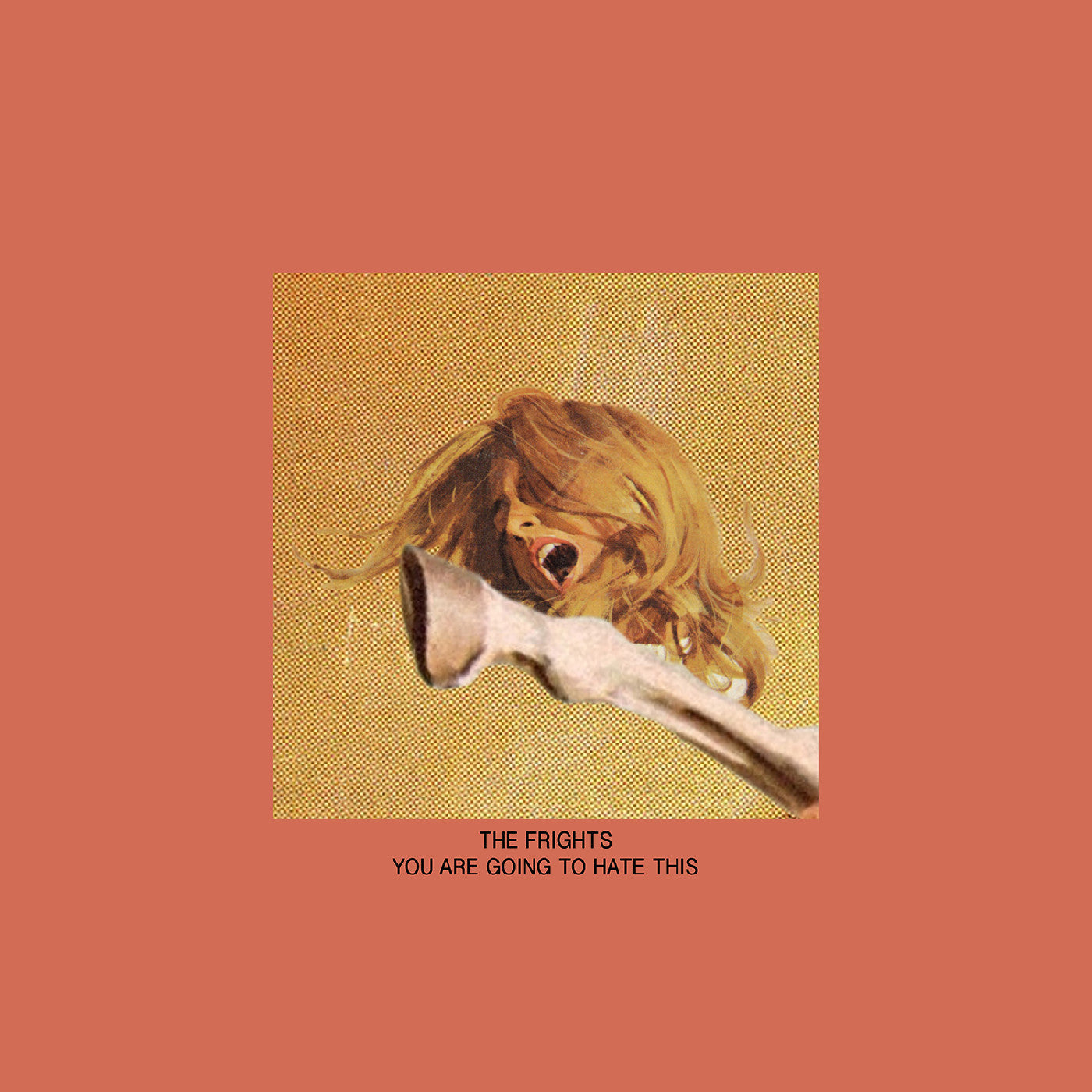 The Frights | You Are Going To Hate This - Vinyl