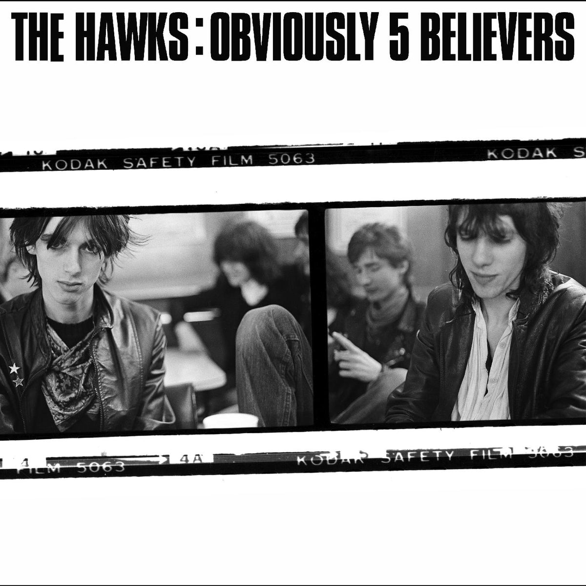 The Hawks | Obviously 5 Believe - Vinyl