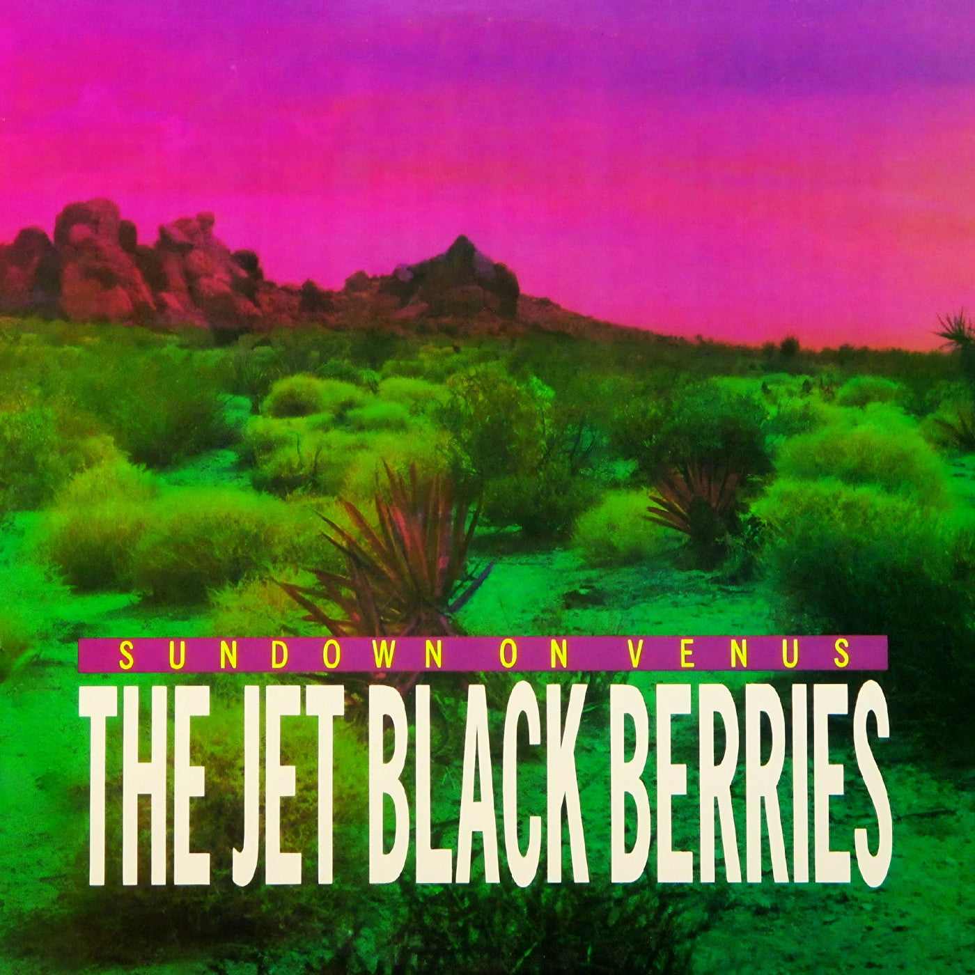 The Jet Black Berries | Sundown On Venus [Definitive Edition] - CD