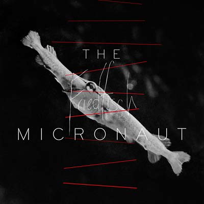 THE MICRONAUT | Friedfisch - CD