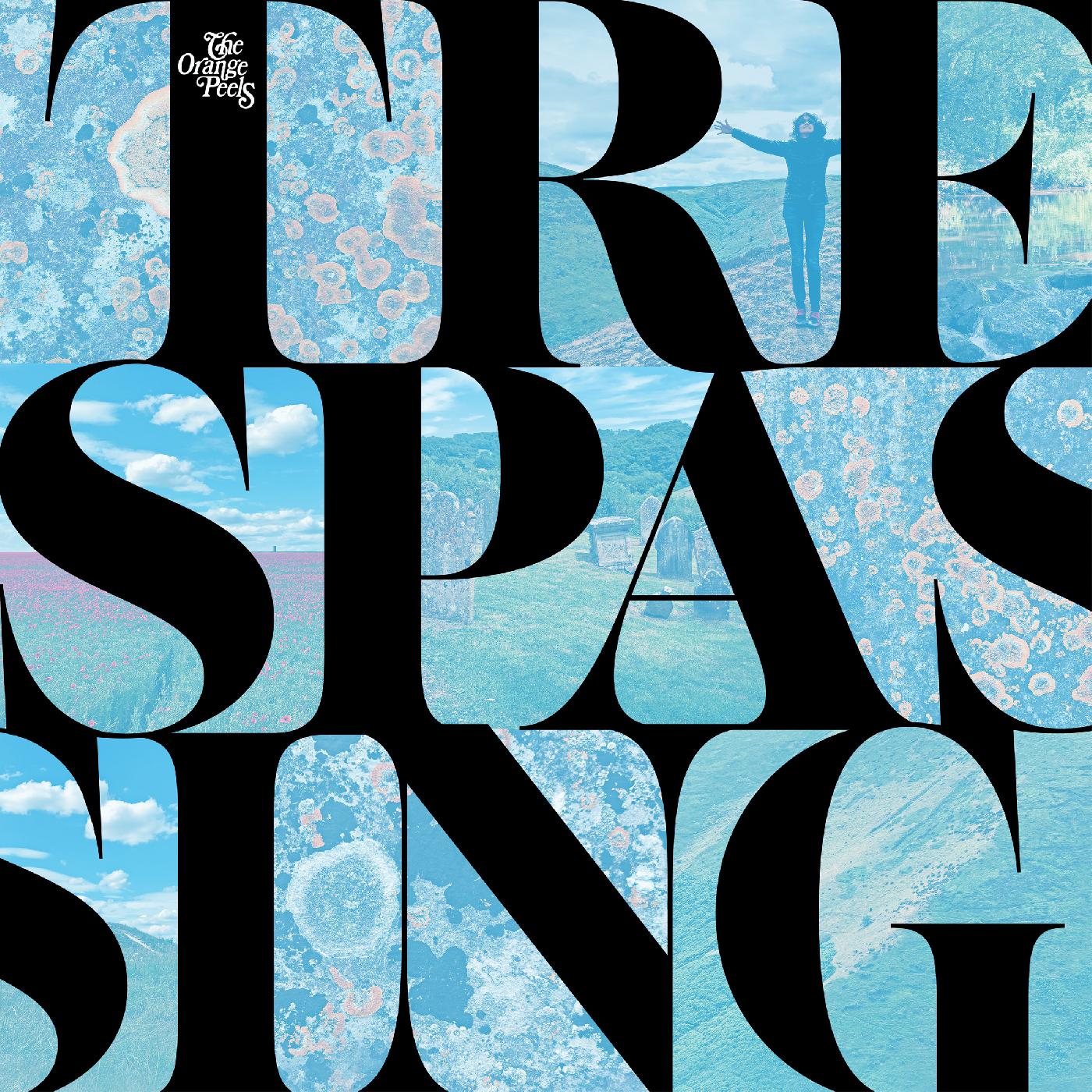 The Orange Peels | Trespassing - Vinyl