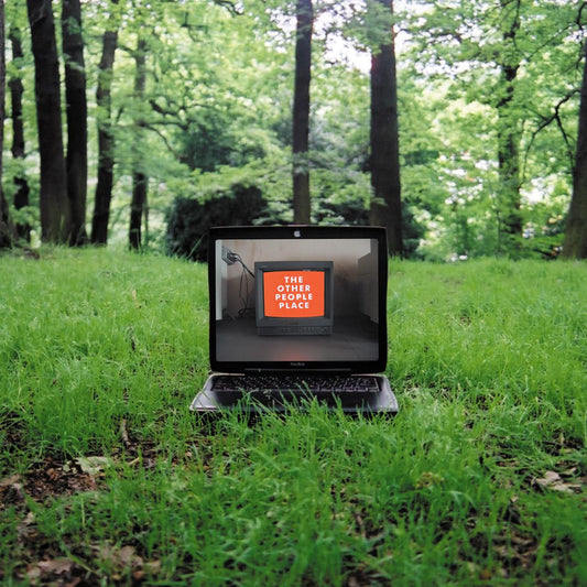 The Other People Place | Lifestyles Of The Laptop Cafe - Vinyl