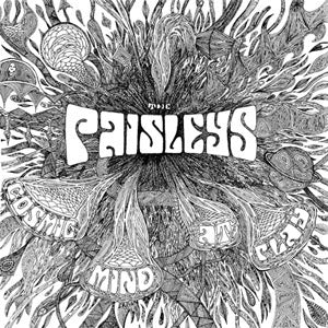 The Paisleys | Cosmic Mind At Play - Vinyl