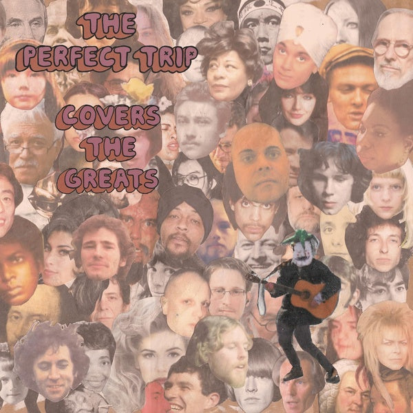 THE PERFECT TRIP | Covers the Greats - CD