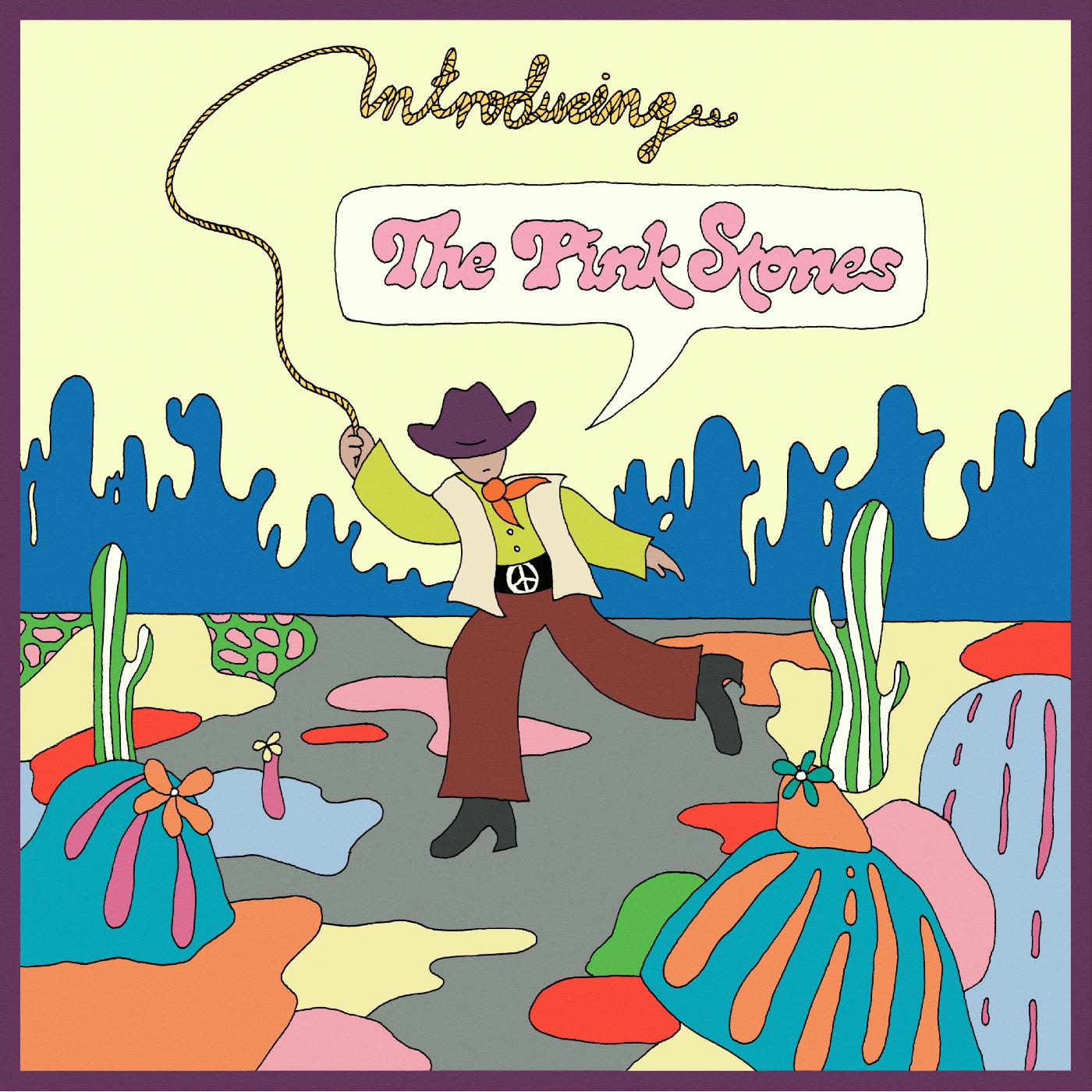 The Pink Stones | Introducing...The Pink Stones - CD