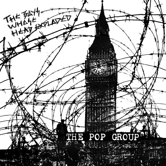 The Pop Group | The Boys Whose Head Expoloded - CD