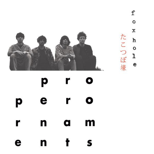 The Proper Ornaments | Foxhole - CD