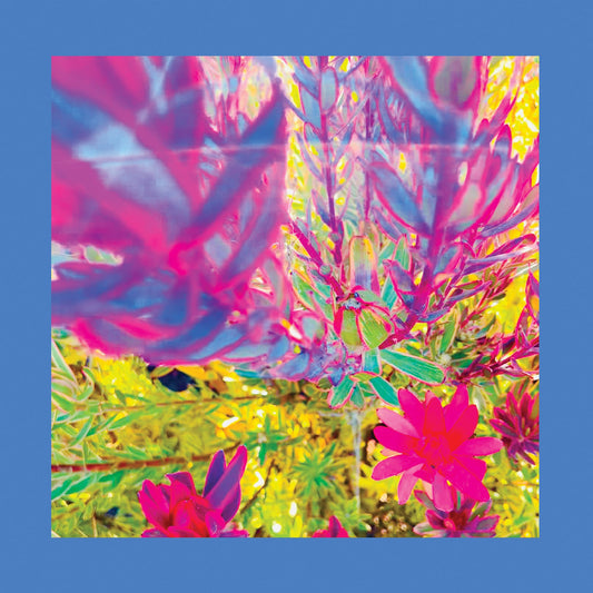 The Reds Pinks & Purples | The Past Is A Garden I Never Fed - CD