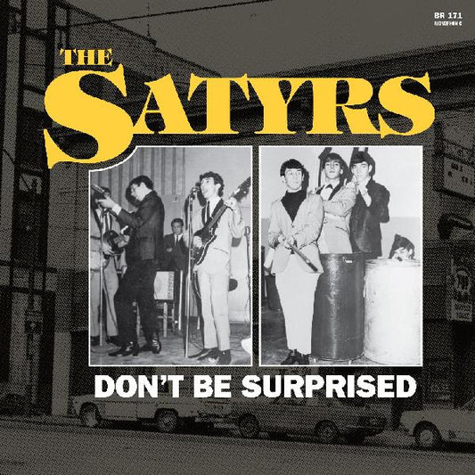The Satyrs | Don't Be Surprised - CD