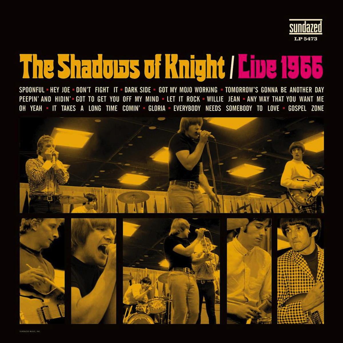 The Shadows Of Knight | Live 1966 - Vinyl