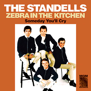 The Standells | Zebra in the Kitchen / Someday You'll Cry - Vinyl