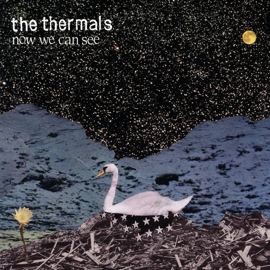 The Thermals | Now We Can See - CD