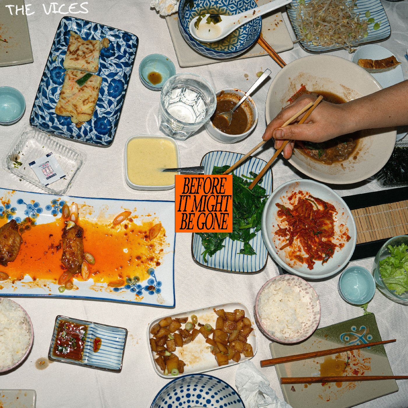 The Vices | Before It Might Be Gone - CD