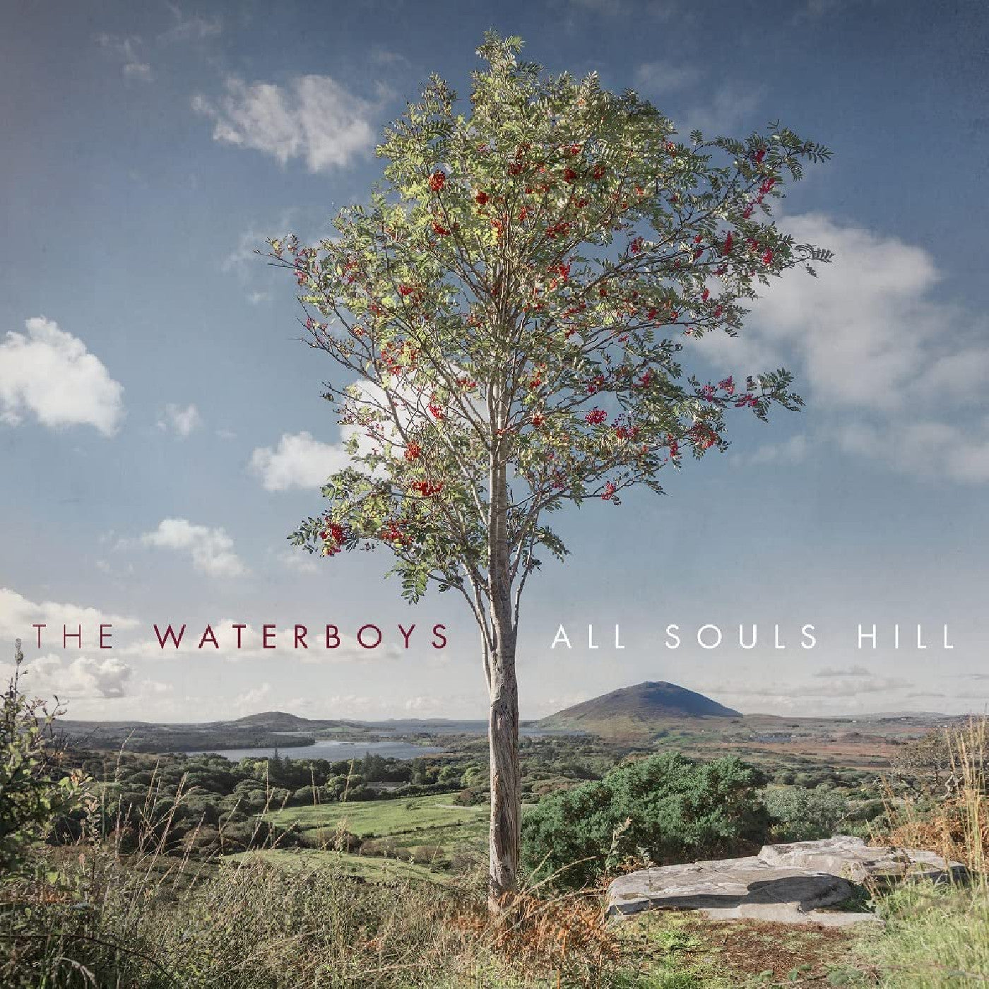 The Waterboys | All Souls Hill - Vinyl
