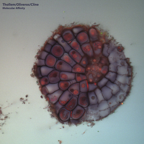 THOLLEM MCDONAS/PAULINE OLVEROS/NELS CLINE | Molecular Affinity - Vinyl