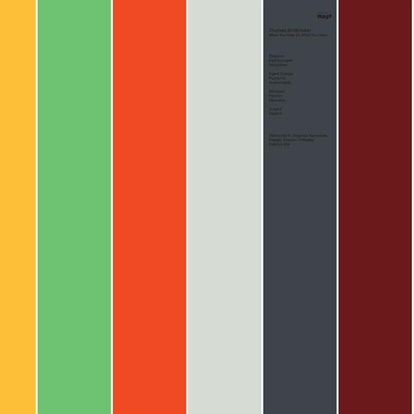 THOMAS BRINKMANN | What You Hear (Is What You Hear) - Vinyl