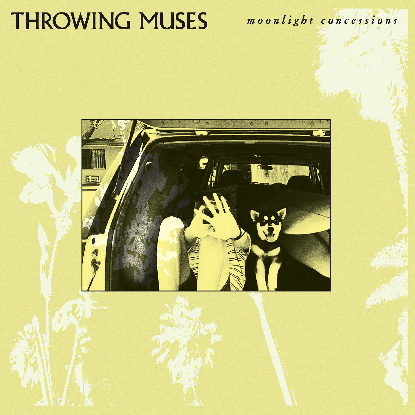 Throwing Muses | Moonlight Concessions - CD