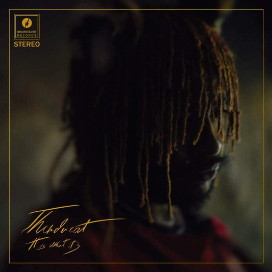 Thundercat | It Is What It Is (Clear Vinyl) - Vinyl